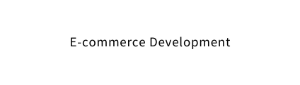 E commerce Development